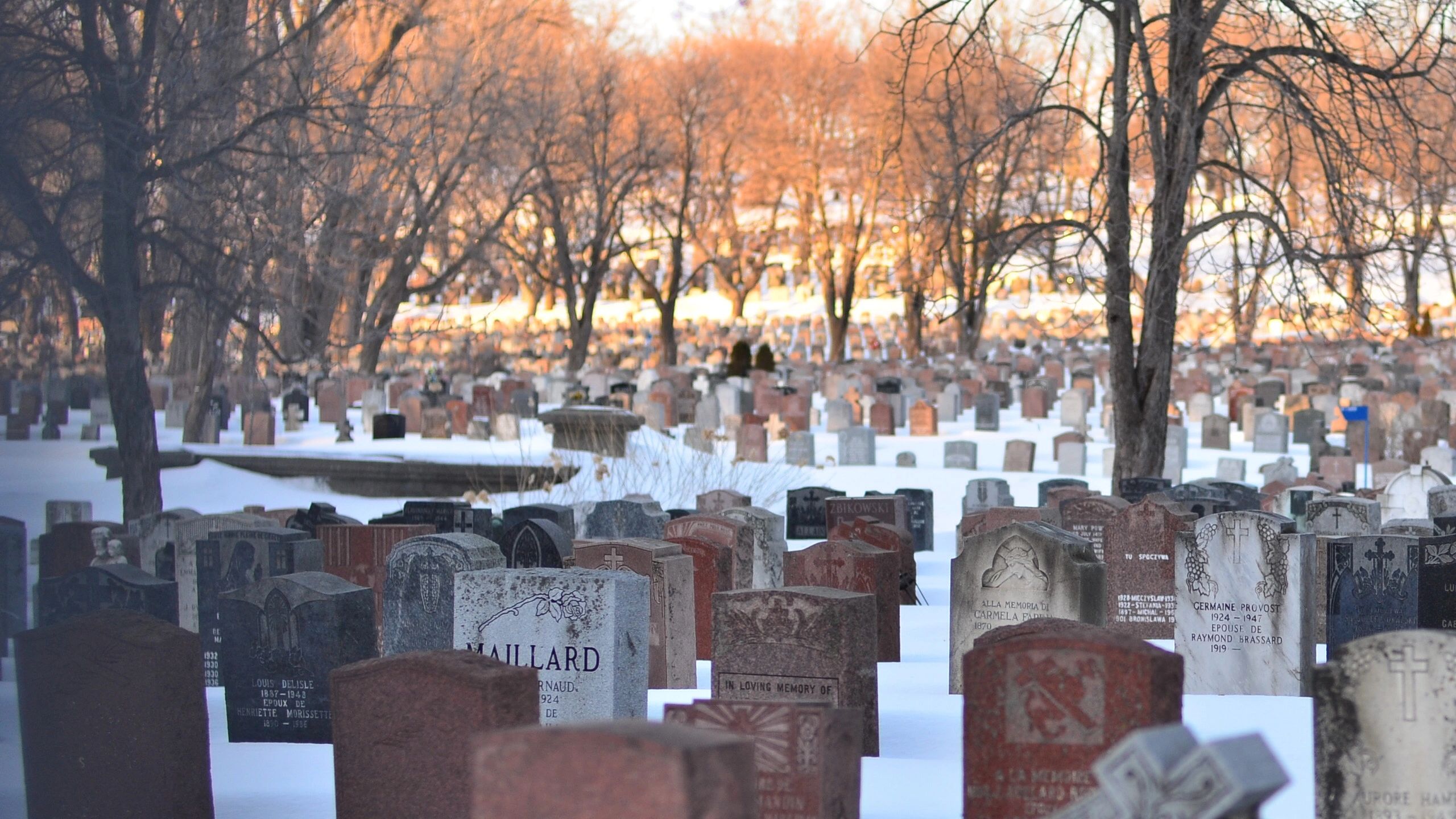 A Warning from Beyond the Grave