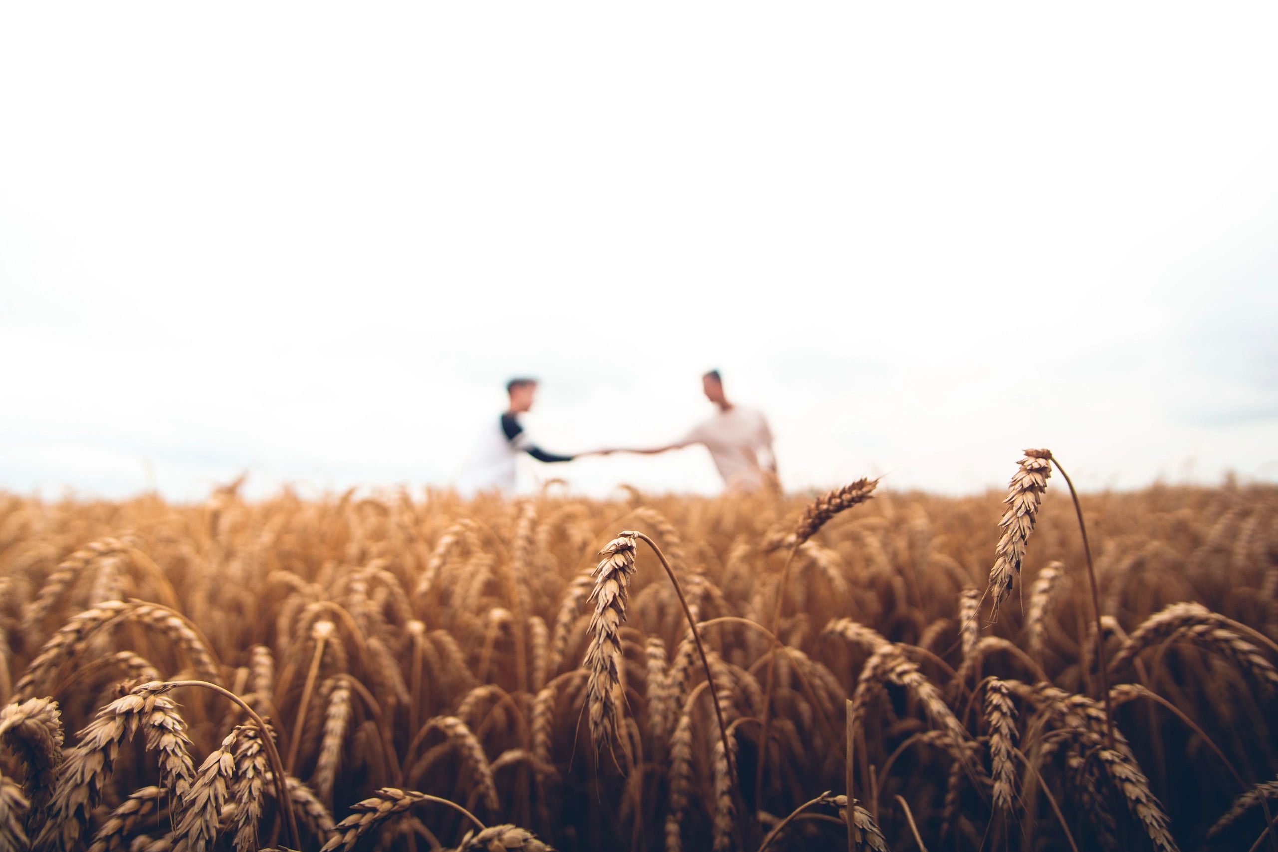 Called to Prepare Laborers for the Harvest