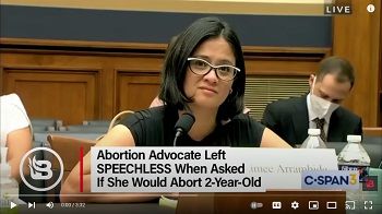 Abortion Advocate in Congressional Hearing
