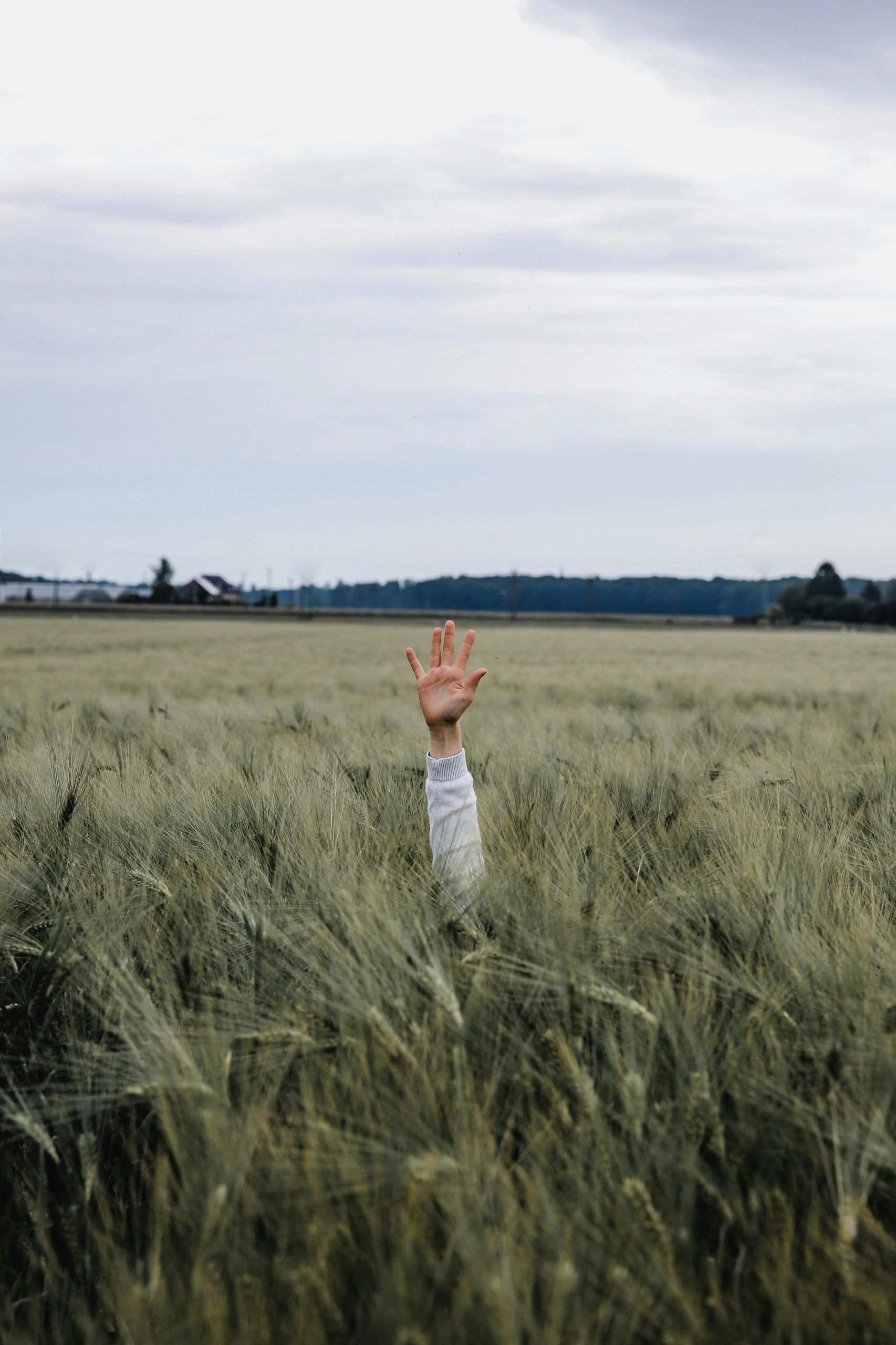 How Should We Treat the Tares?