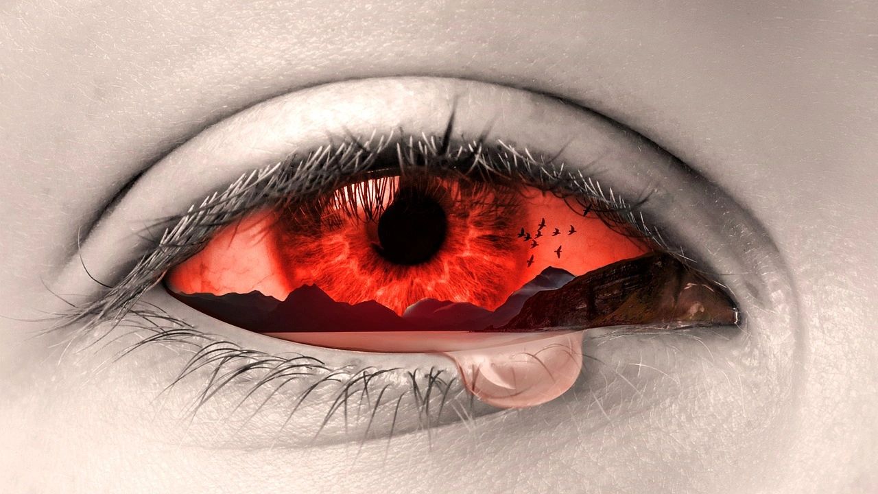 Looking Back with Regret