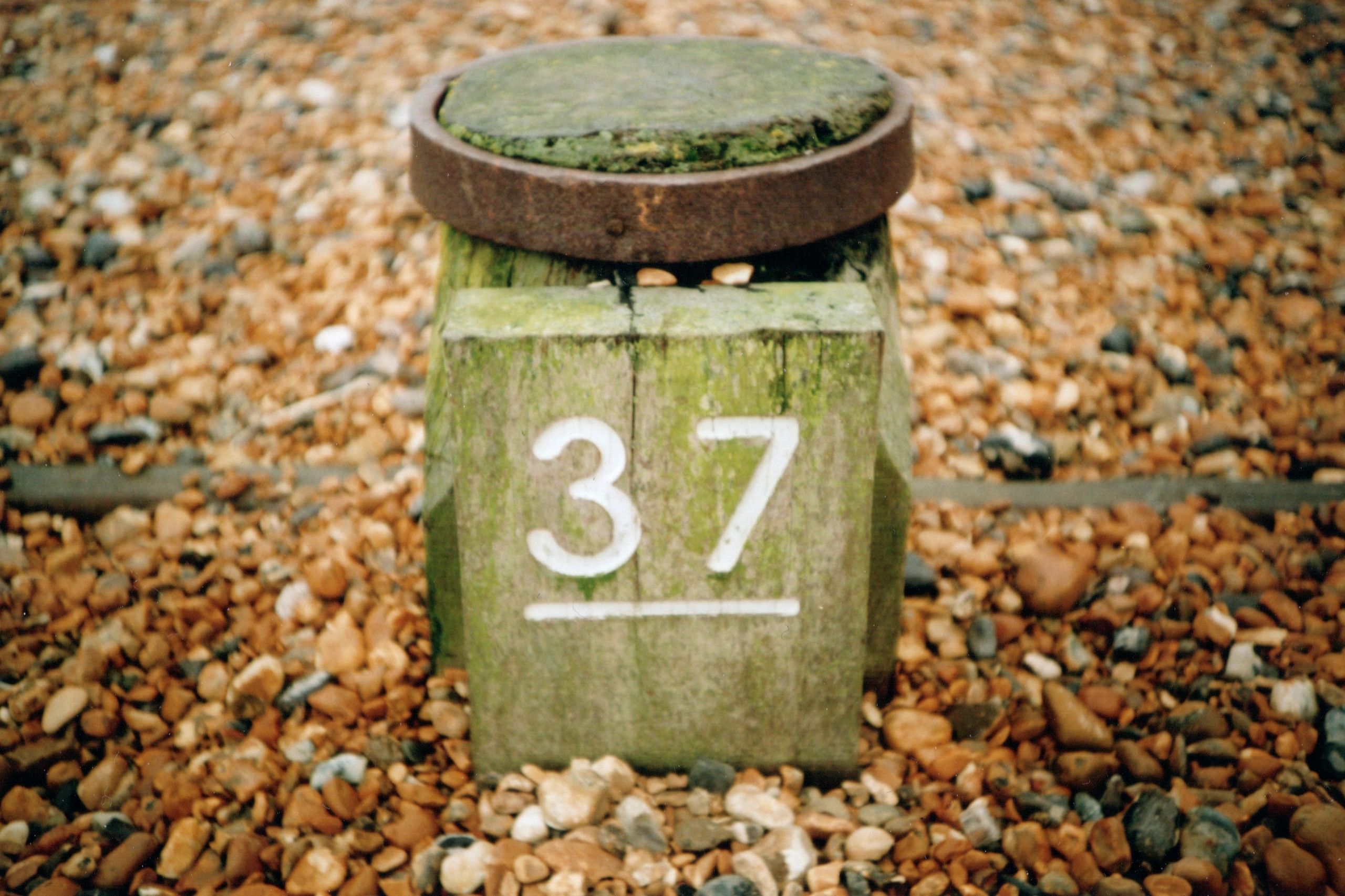Revelation is a Book of 3’s and 7’s