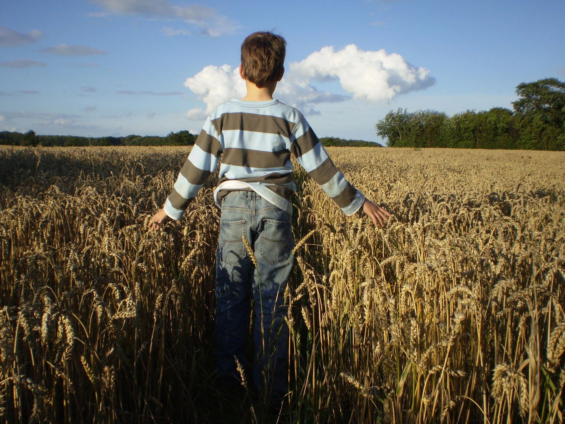 Seeds of a Great Harvest