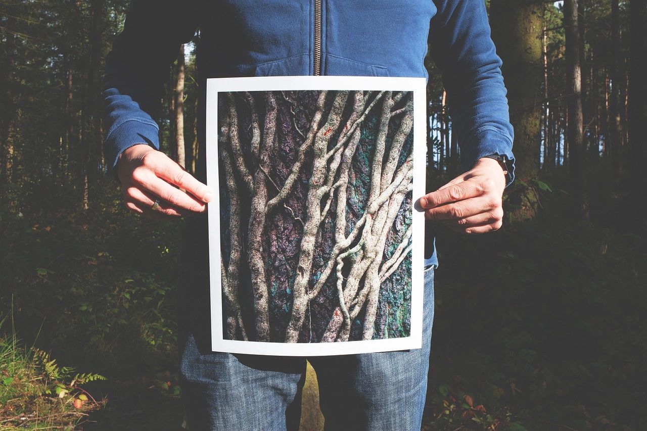 Signs of a Root of Bitterness