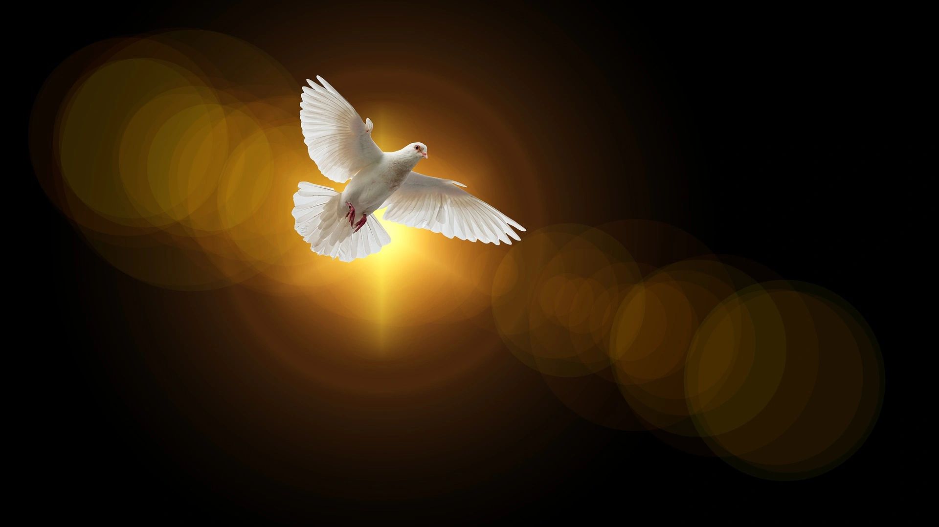 The Feast of Pentecost