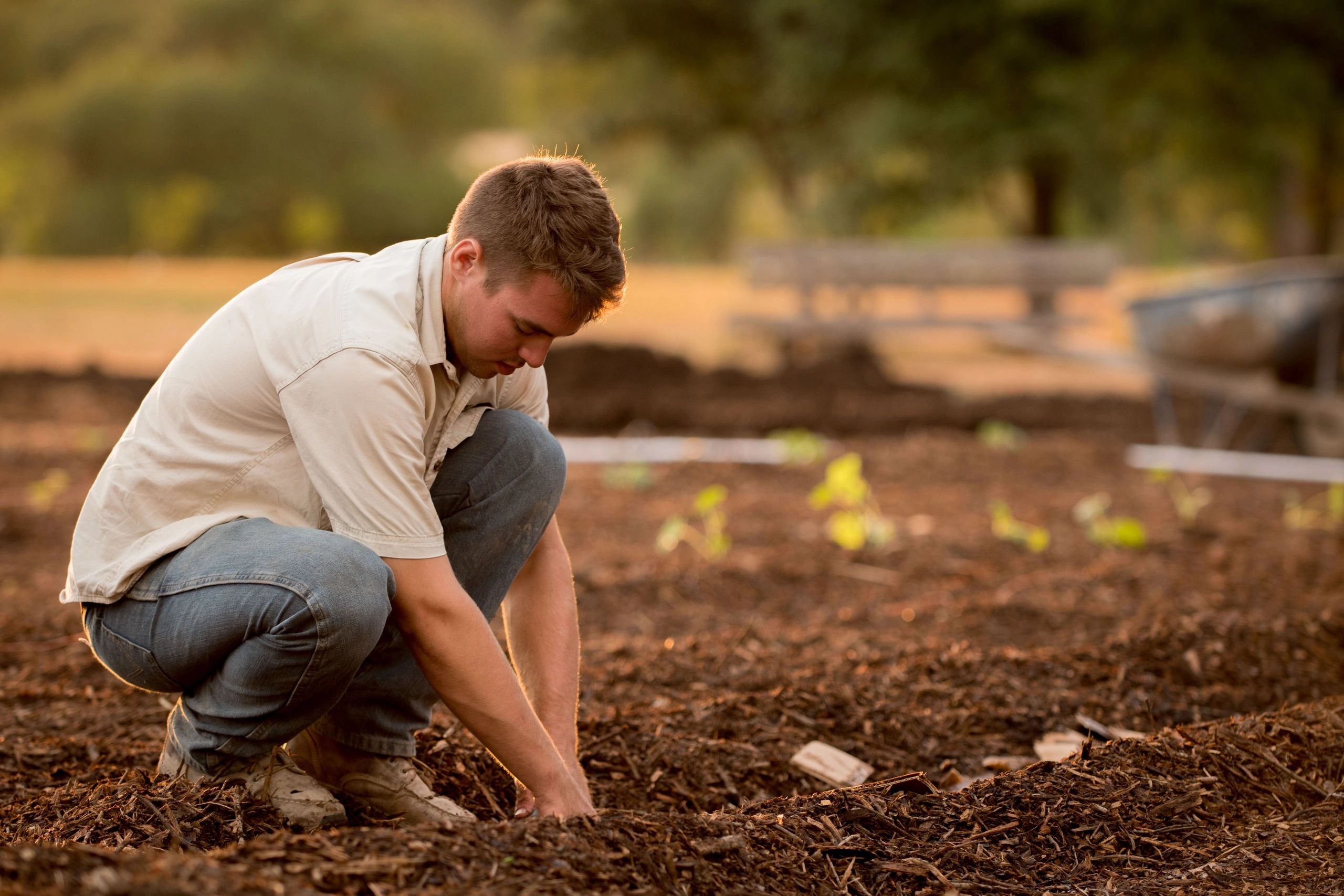 The Law of Sowing and Reaping