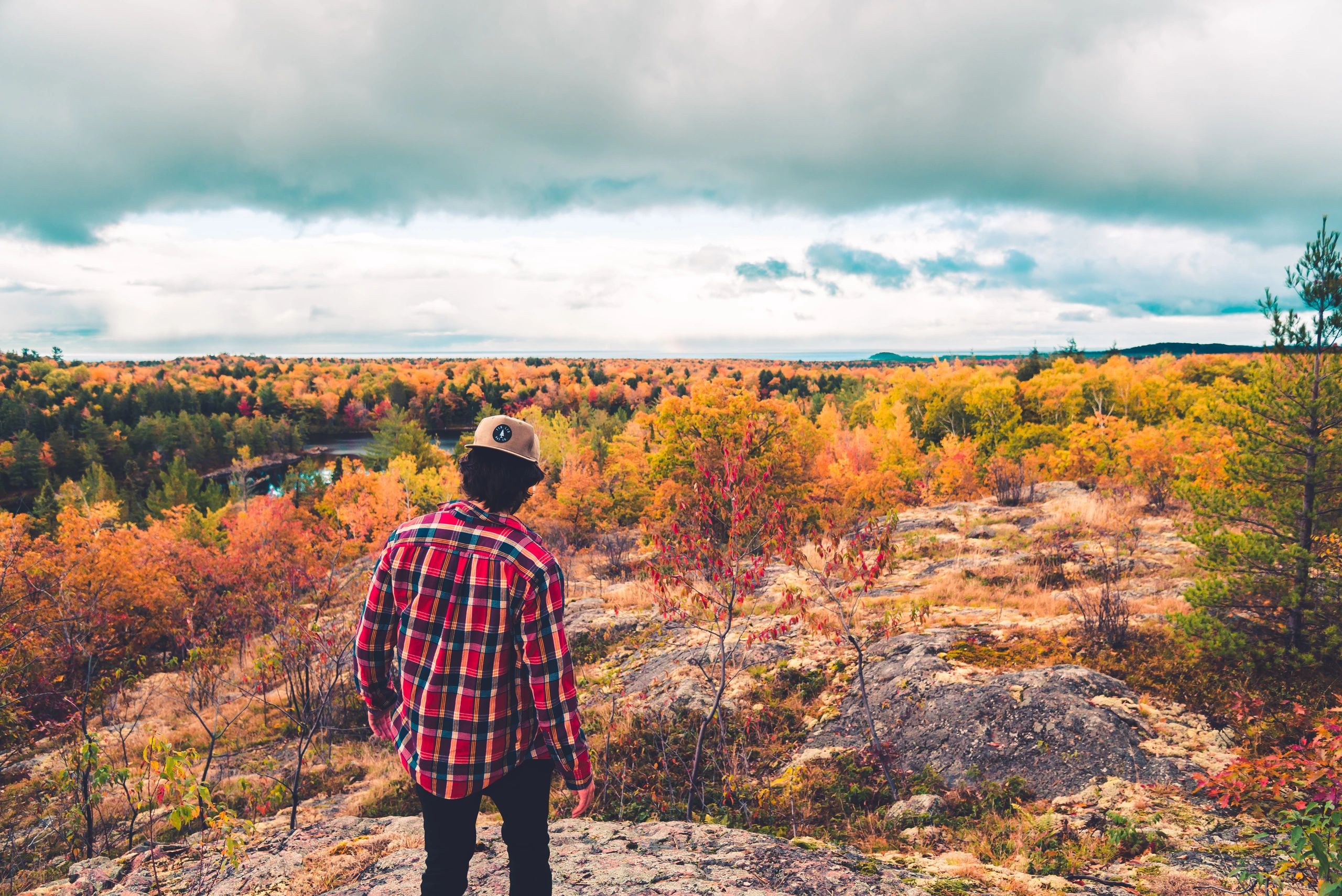The Purpose of the Wilderness