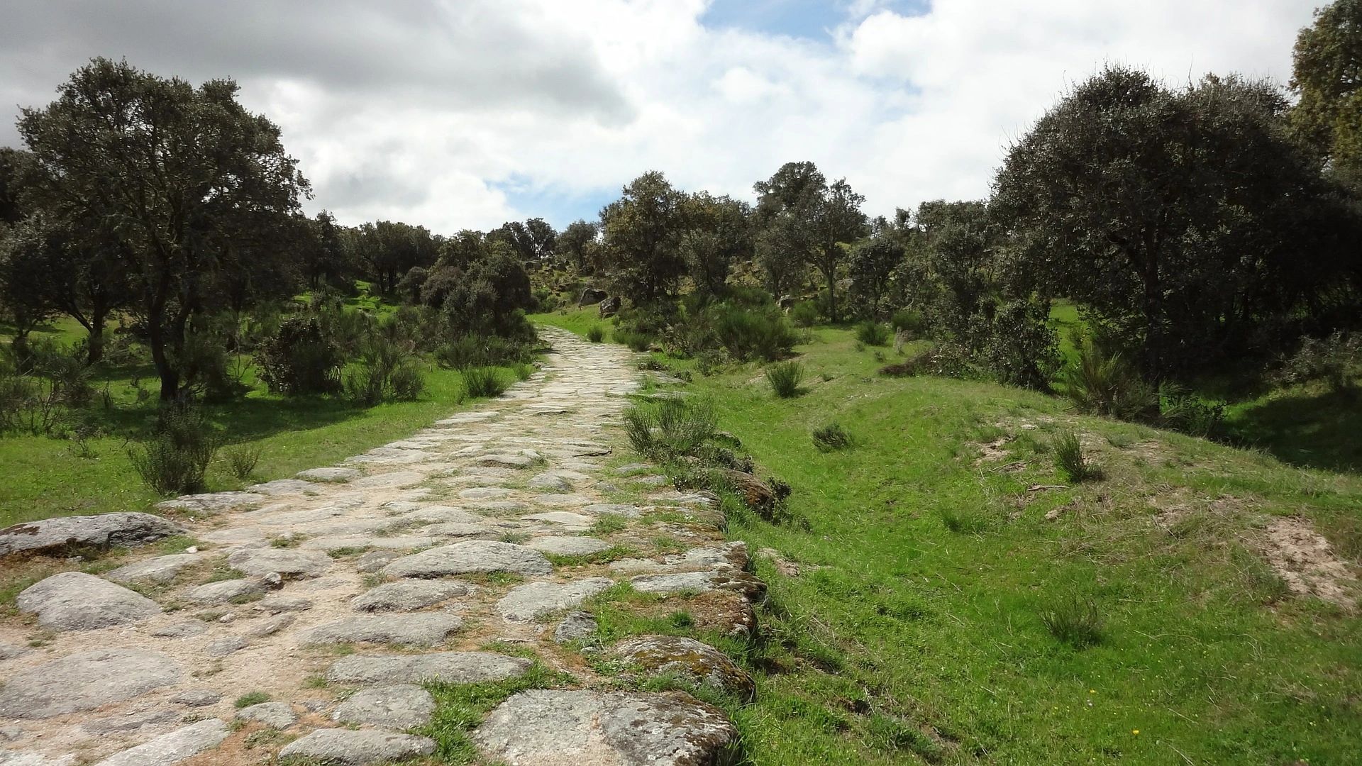 The Romans Road to Freedom