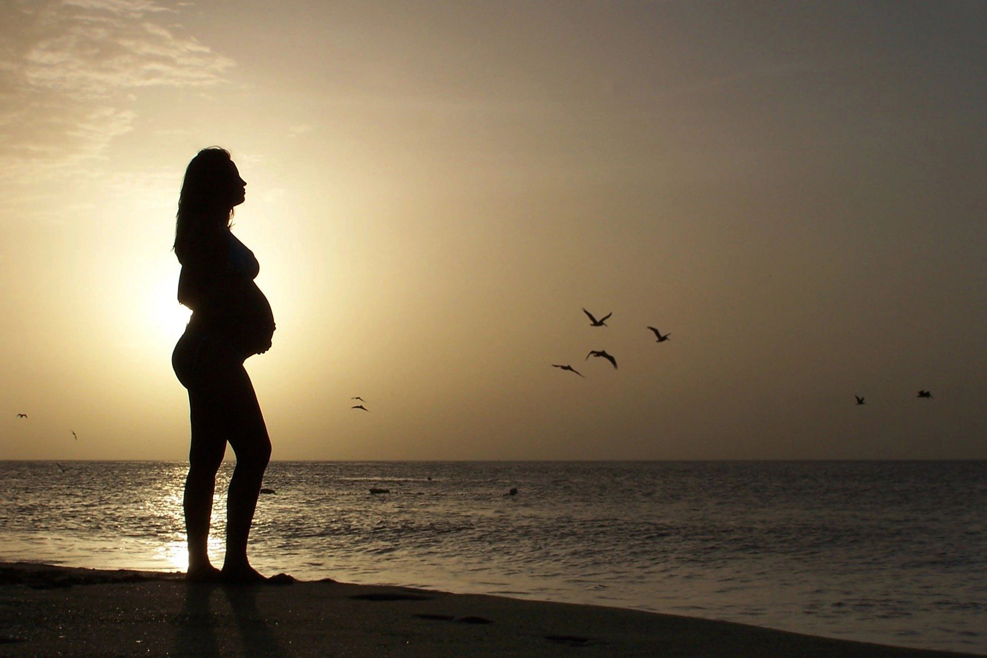 Who is the Sun-Clothed Woman?